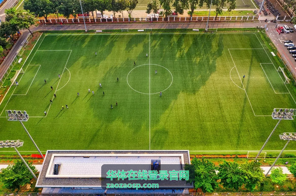 体娱人物专题华体在线登录官网内容入口